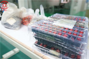 广州PCBA包工包料加工,PCBA贴片生产,众焱电子